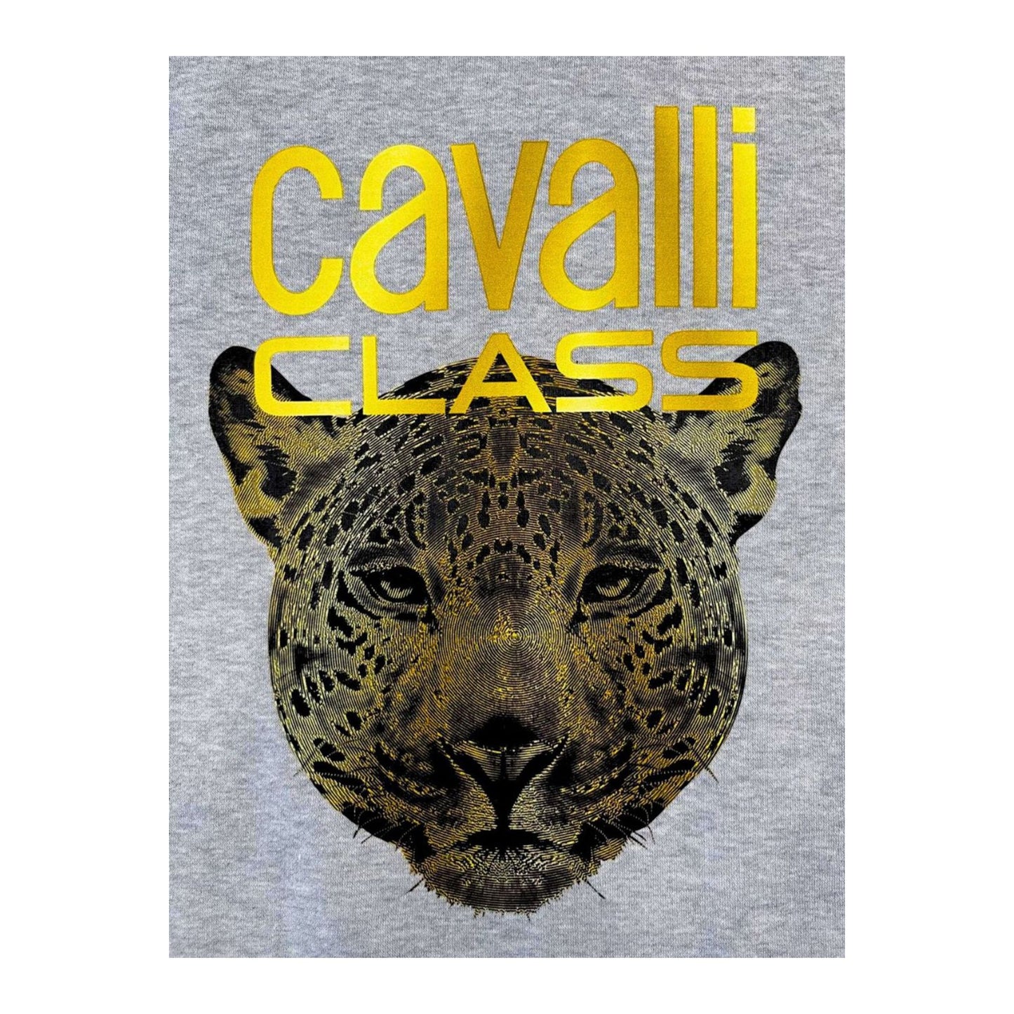 Cavalli Class Hanorace
