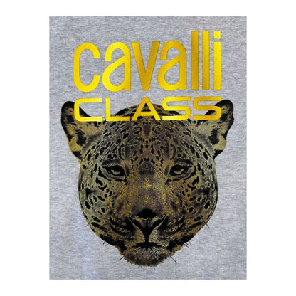 Cavalli Class Hanorace