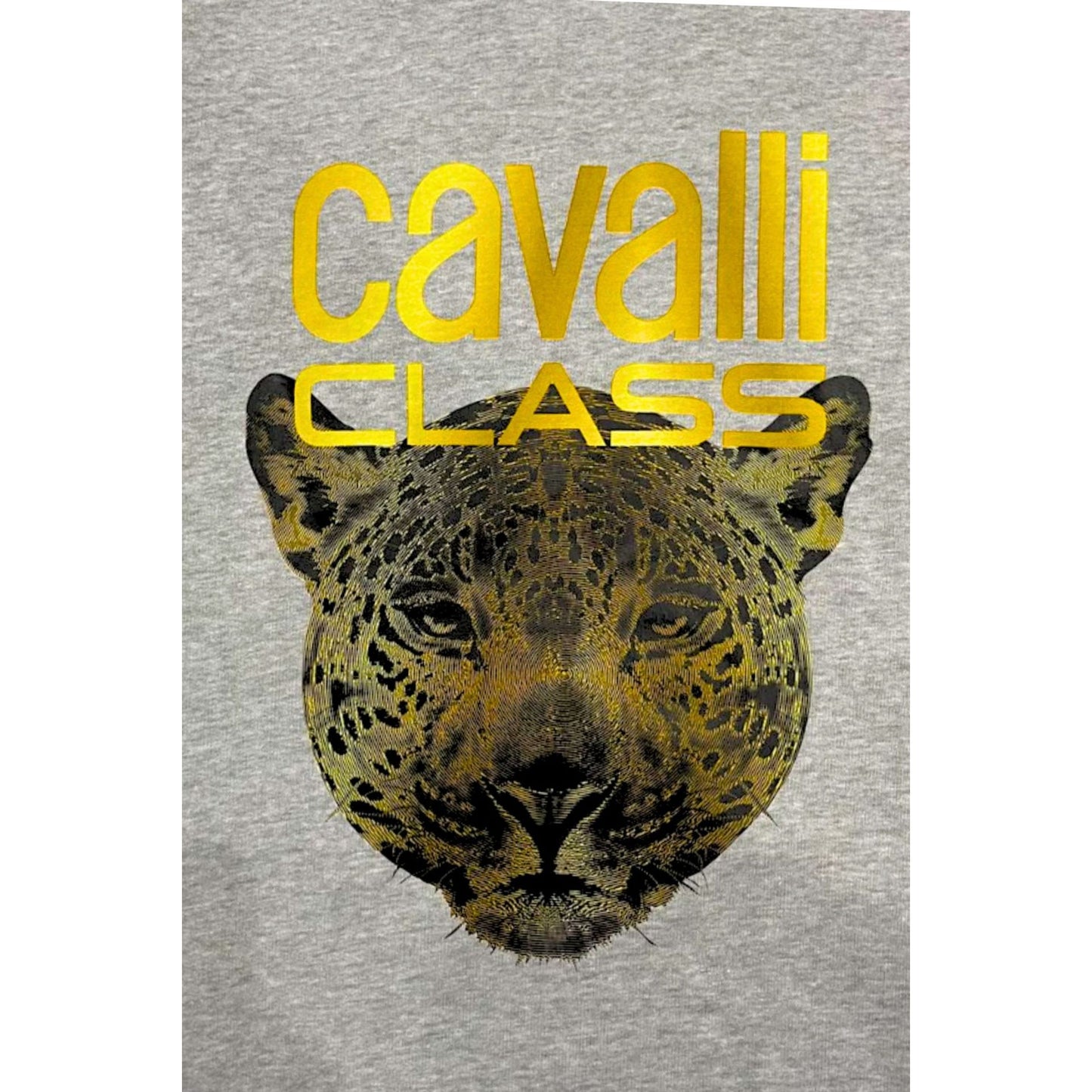 Cavalli Class Hanorace