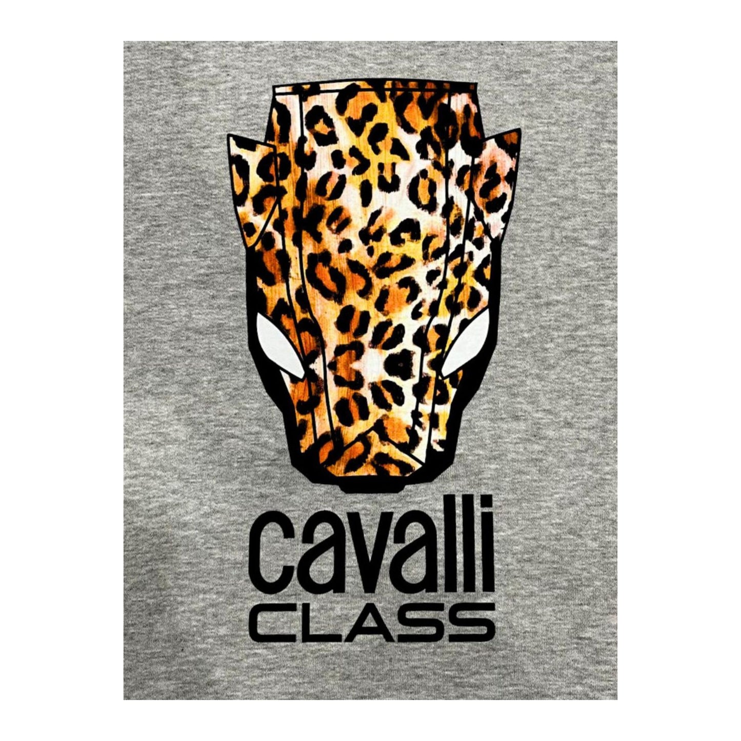 Cavalli Class Hanorace